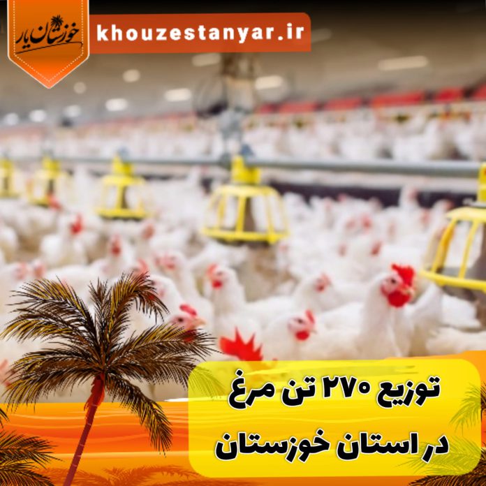 توزیع 270 تن مرغ در استان خوزستان